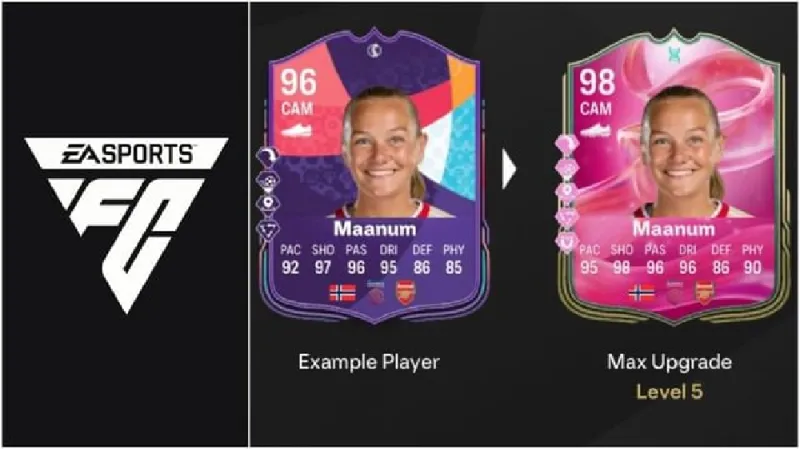 fc-25-wiazard-of-joy-evolution